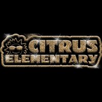 GLT99 GOLD GLITTER Thumbnail