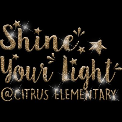 GLT67 GOLD GLITTER Thumbnail