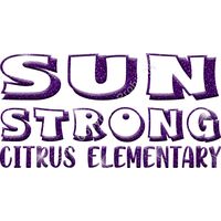 GLT97 PURPLE GLITTER Thumbnail