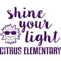 GLT48 PURPLE GLITTER Thumbnail